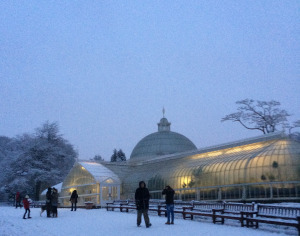 Kibble Palace, winter twilight