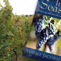 inseasonvineyard