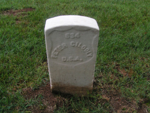 The grave of Peter Gilooly in Nashville National Cemetery (Kathleen Fleury Bilbrey, Find A Grave) 