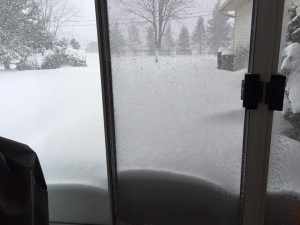 2016 Blizzard1