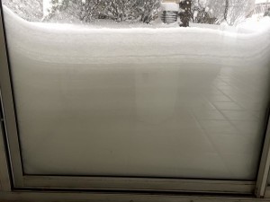 2016 Blizzard2