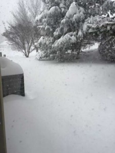 2016 Blizzard4