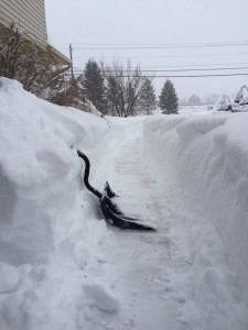 2016 Blizzard5
