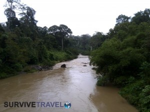 Danum Valley Review - Trekking- Survive Travel