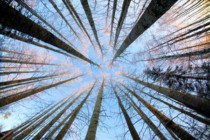 up_and_higher_by_kariliimatainen