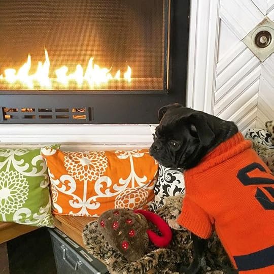 12479585_162266534144527_2041843426_n