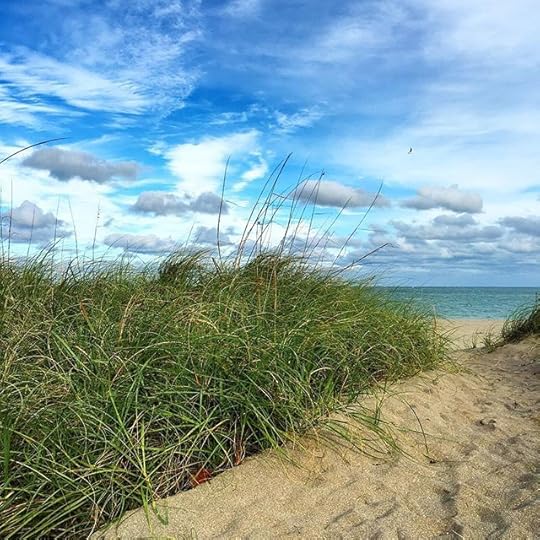 10520299_199103927106391_488132832_n