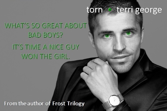 TORN Book Teaser 1