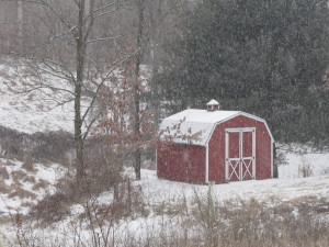 2013 January C 026