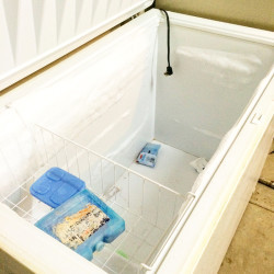 empty deep freeze