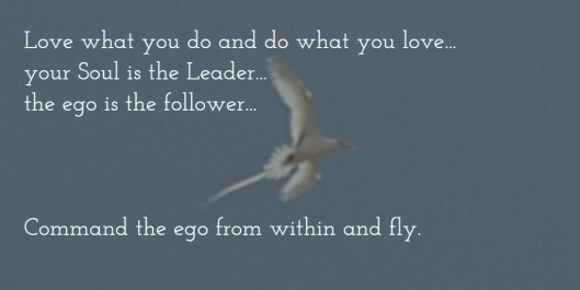 command the ego
