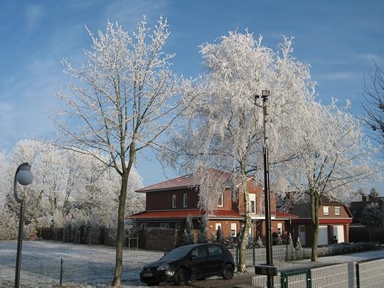 Hoarfrost street