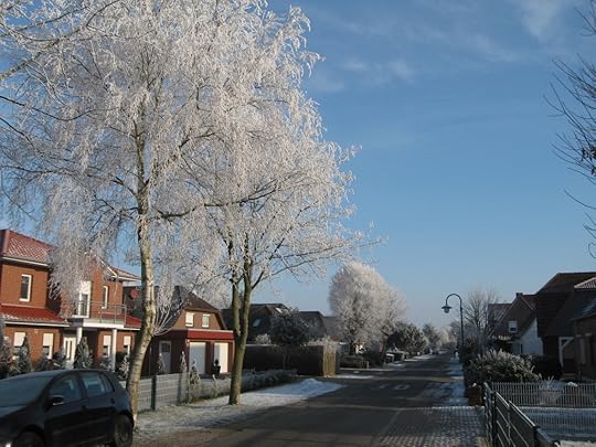 Hoarfrost street