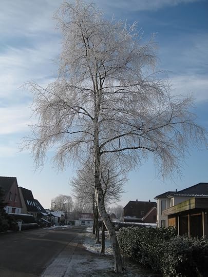 Hoarfrost street