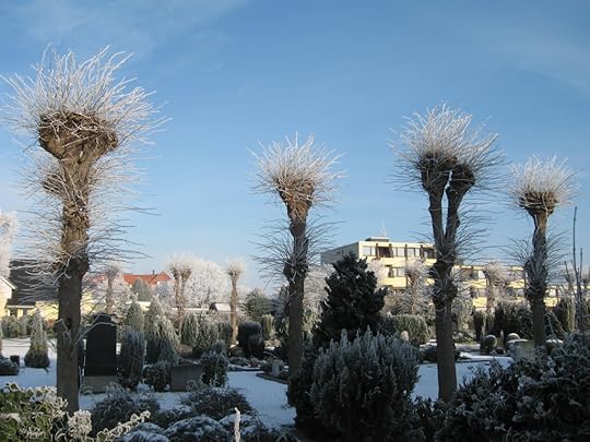 Hoarfrost groots