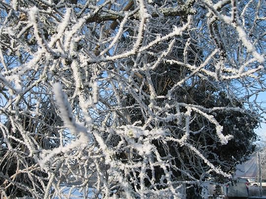 Hoarfrost