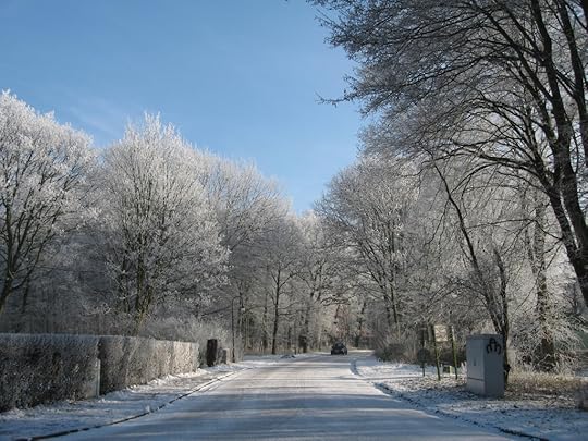 Wolfskuhlenweg Hoarfrost