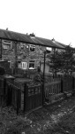 BACK GARDEN 24