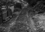 BACK ROAD 24_edited