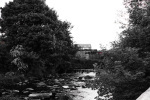 THE BECKSIDE BnW CARMEN