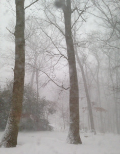 blizzard2