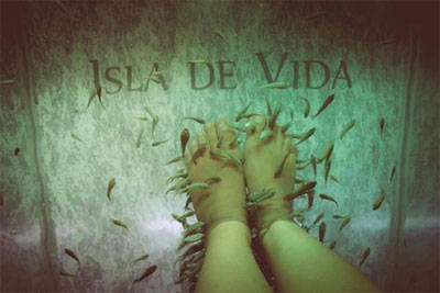 Isla de Vida