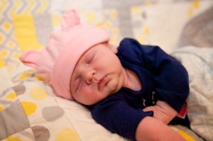 Pip - photographed by Jill D., http://www.jilldphoto.com