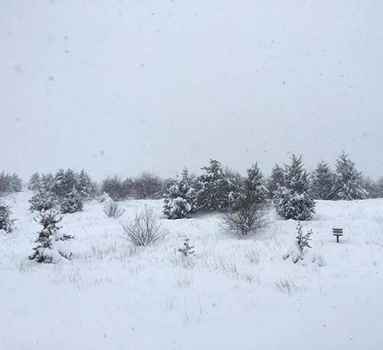 How we spent the Mid-Atlantic Blizzard of 2016