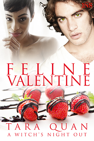 Feline Valentine