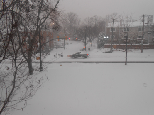 Snow faill in Northern Virgina, near Washington DC
