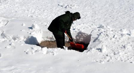 digging-out-29612942288170wA