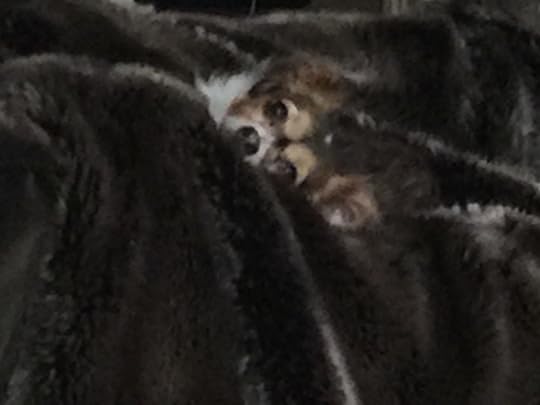 Fred watching me write