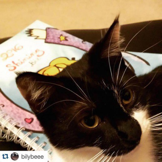 12322423_1009938139068710_5303849886176886043_o