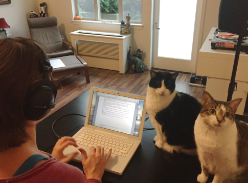Everyone's a critic...
