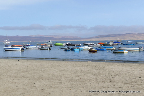 Paracas Beach