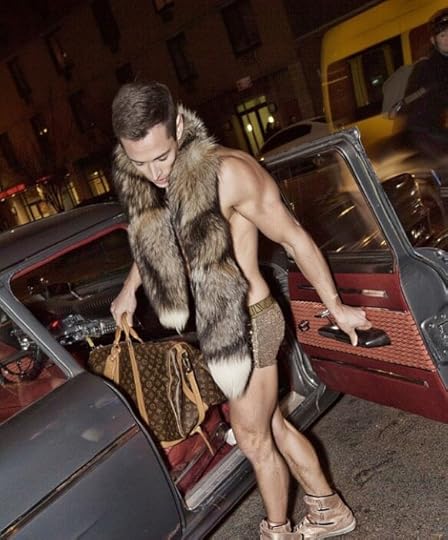 traveling luggage fur