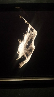 Asteroid Lutetia