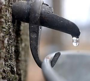 Tap_300