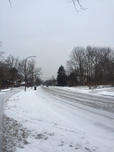 The grey days of winter