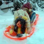 The Cuddly Defenders Go Sledding