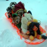 The Cuddly Defenders Go Sledding