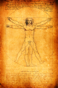 vitruvian-man