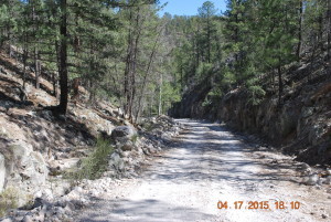 Rough road in the Black Range mountains of New Mexico - love historical fiction