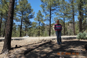 woman standing in a pine forest - love historical fiction