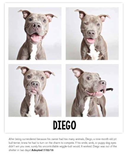 Palm Springs commercial photography