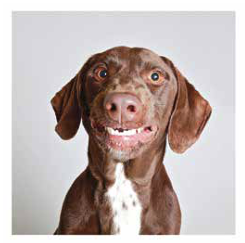 Palm Springs commercial photography