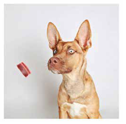 Palm Springs commercial photography