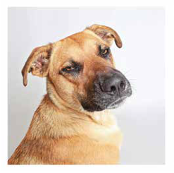 Palm Springs commercial photography