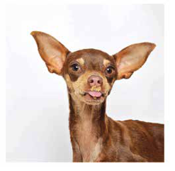 Palm Springs commercial photography