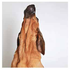 Palm Springs commercial photography